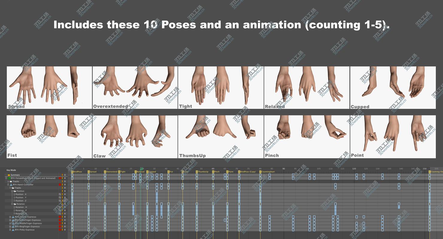 images/goods_img/20210113/Rigged and Animated Hand (Female)/3.jpg
